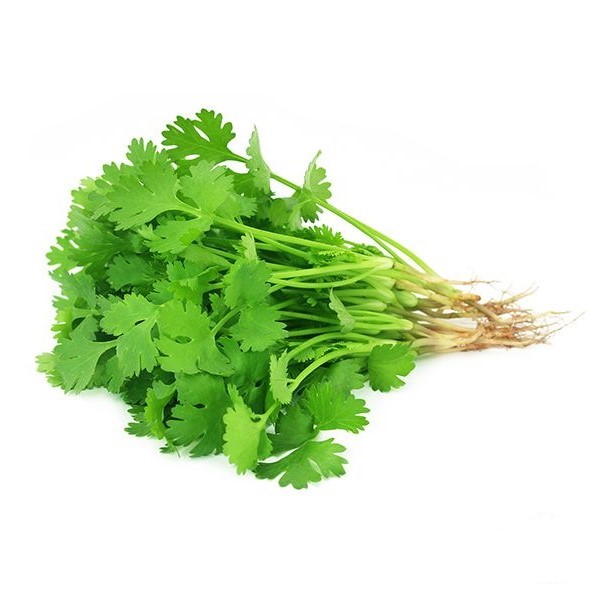 Fresh coriander 125g / kpl