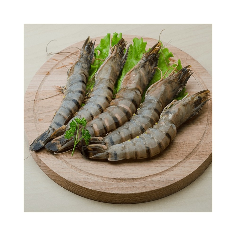 Fisherman's Choice Black Tiger Shrimps HOSO 8/12 1kg net800g
