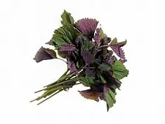 Perilla Frutescens La tia to 100gr