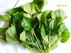 Wild betal leaf 100g