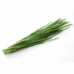 Chive leaf