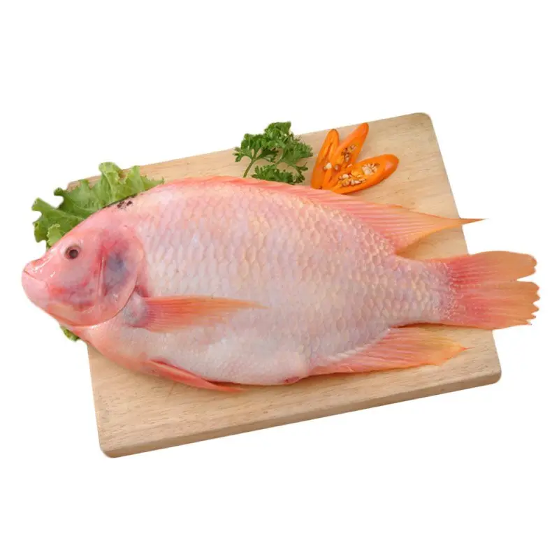 Tilapia red 750g
