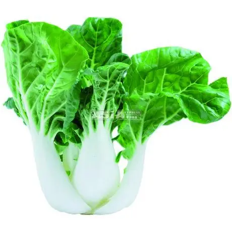 Mini pak choi 1kg